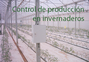 Control de producción en invernaderos